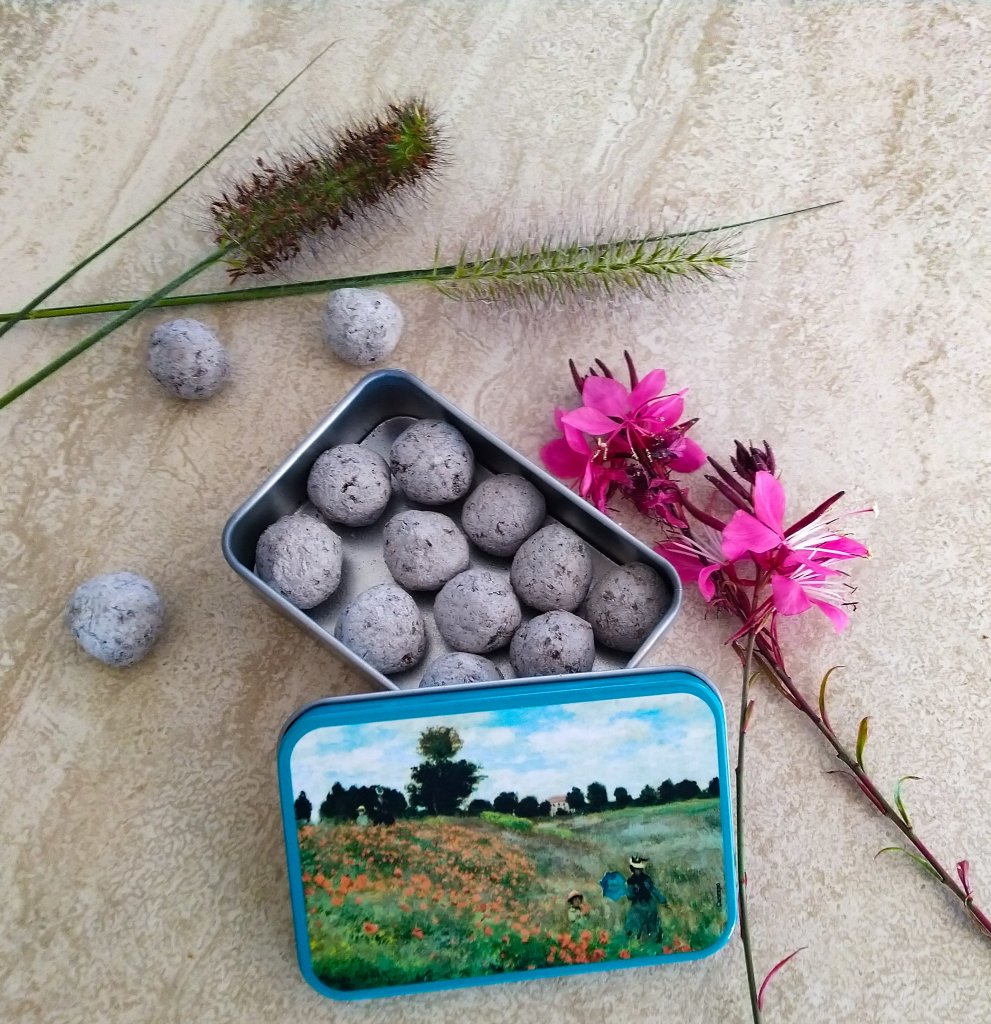 Dárkové balení koulí plných semínek pro rozkvetlý svět 10 ks