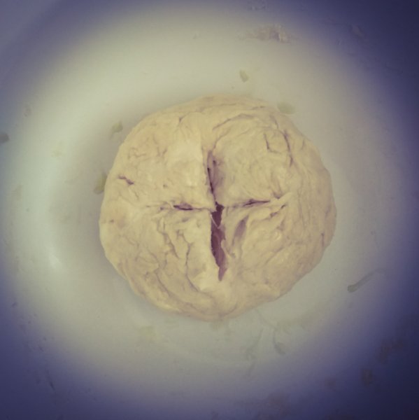 Matka všech kvásků Lievito Madre s medem